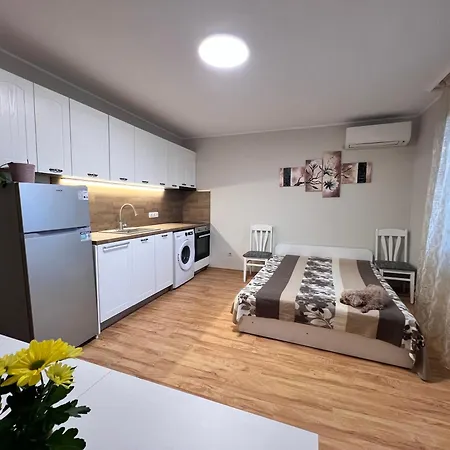 Apartment Milena Warna